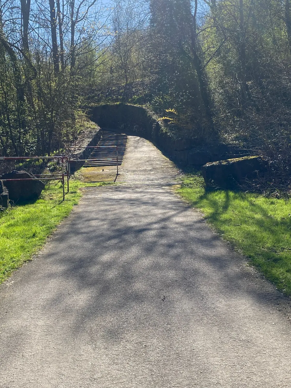 Schotterweg durch den Wald